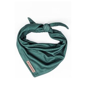 Dog lover package | Wilderdog Green Dog Bandana & Socks (human)